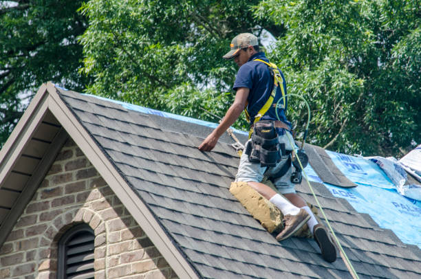 Best Best Roofing Contractors  in Marshfield, WI